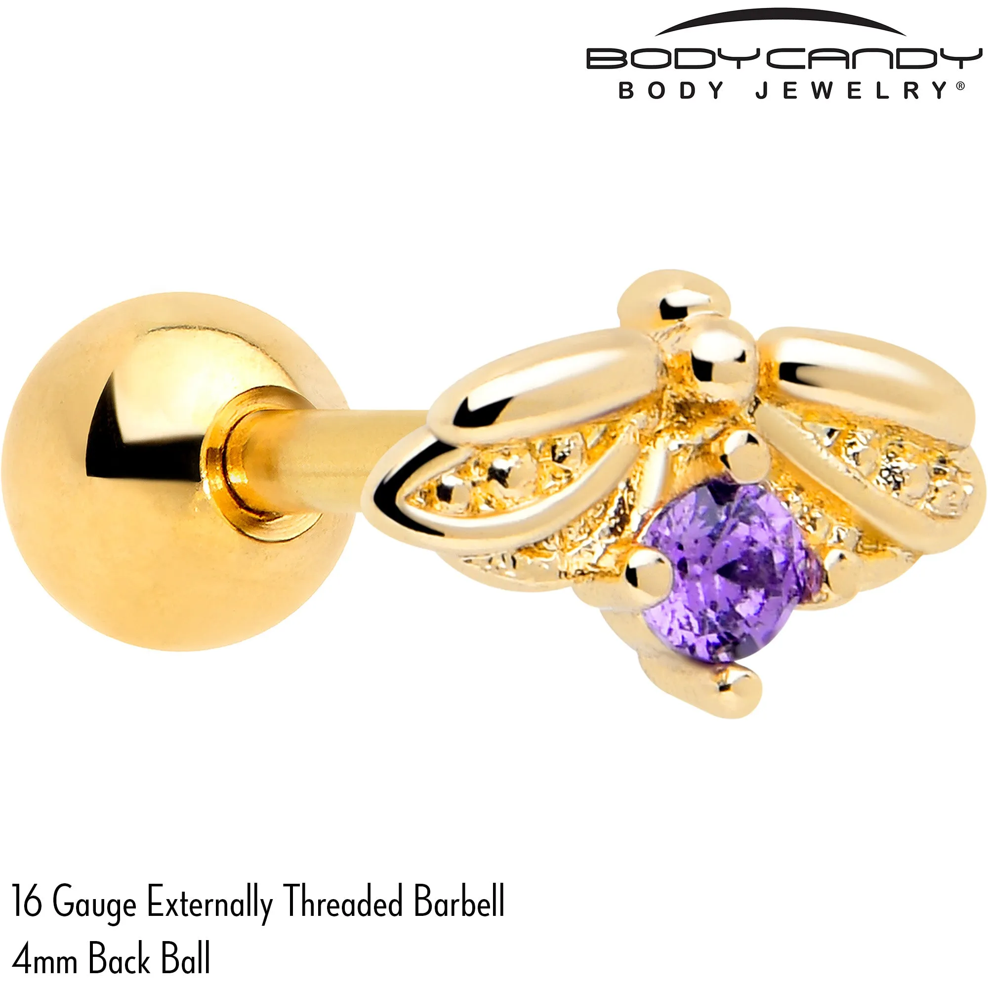 16 Gauge 1/4 Purple Gem Gold Tone Beauty Bug Cartilage Tragus Earring