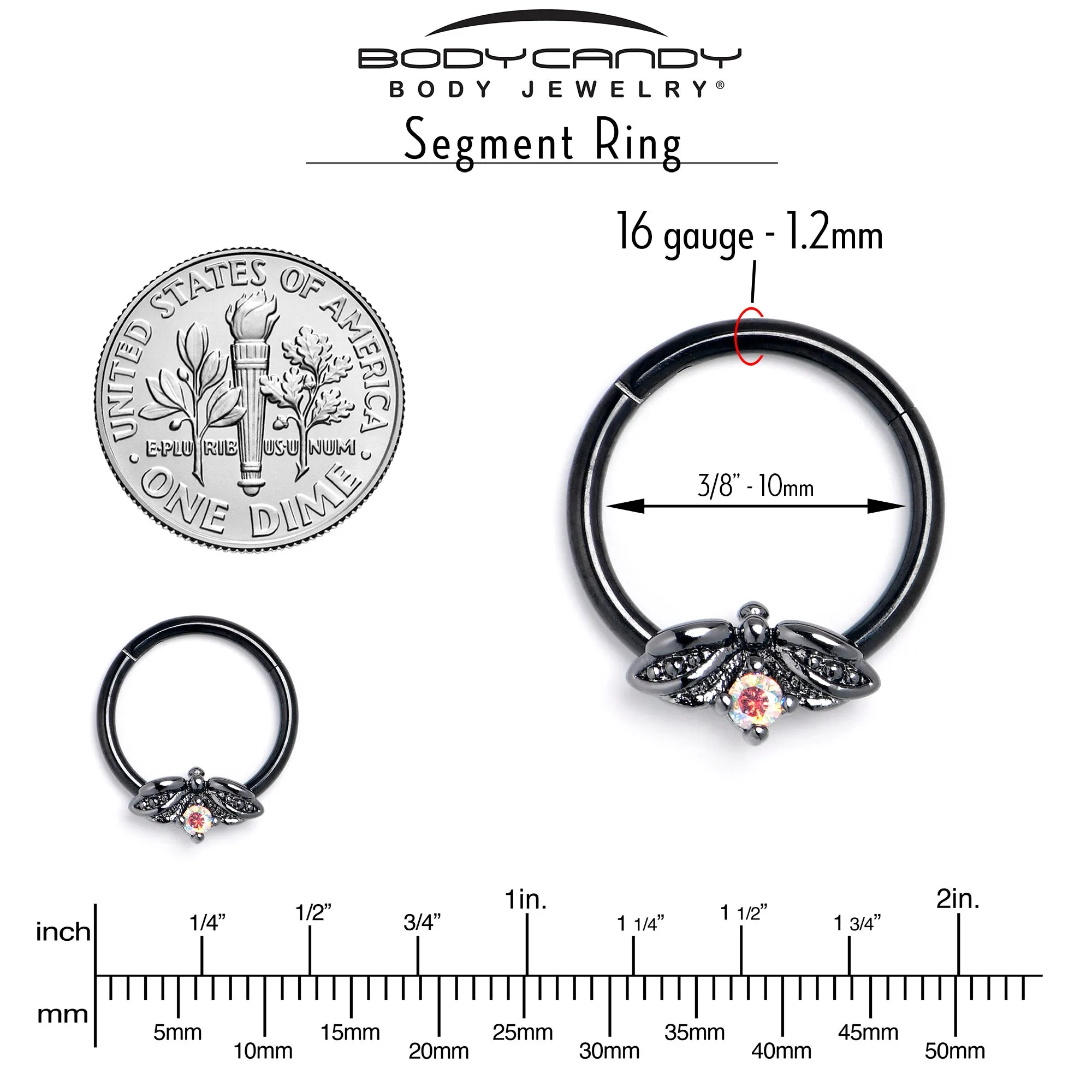 16 Gauge 3/8 Aurora Gem Black Beauty Bug Hinged Segment Ring