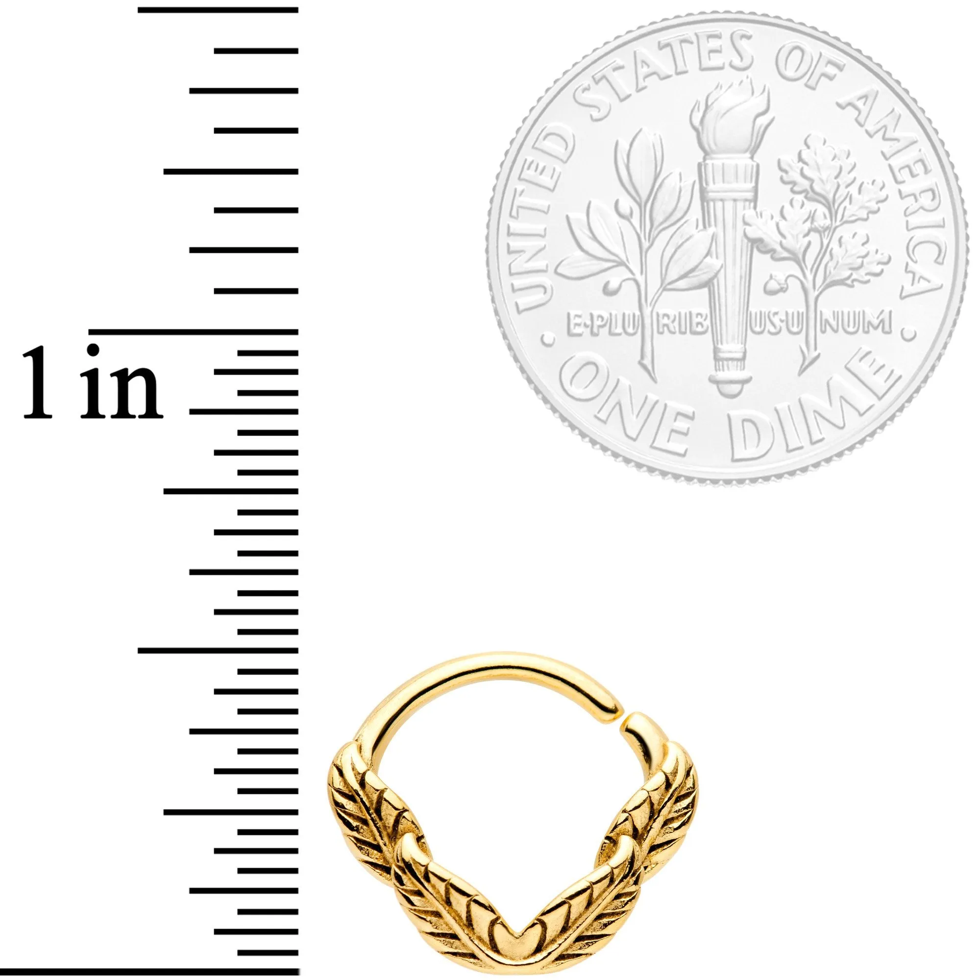 16 Gauge 3/8 Gold Tone Ring of Feathers Closure Ring