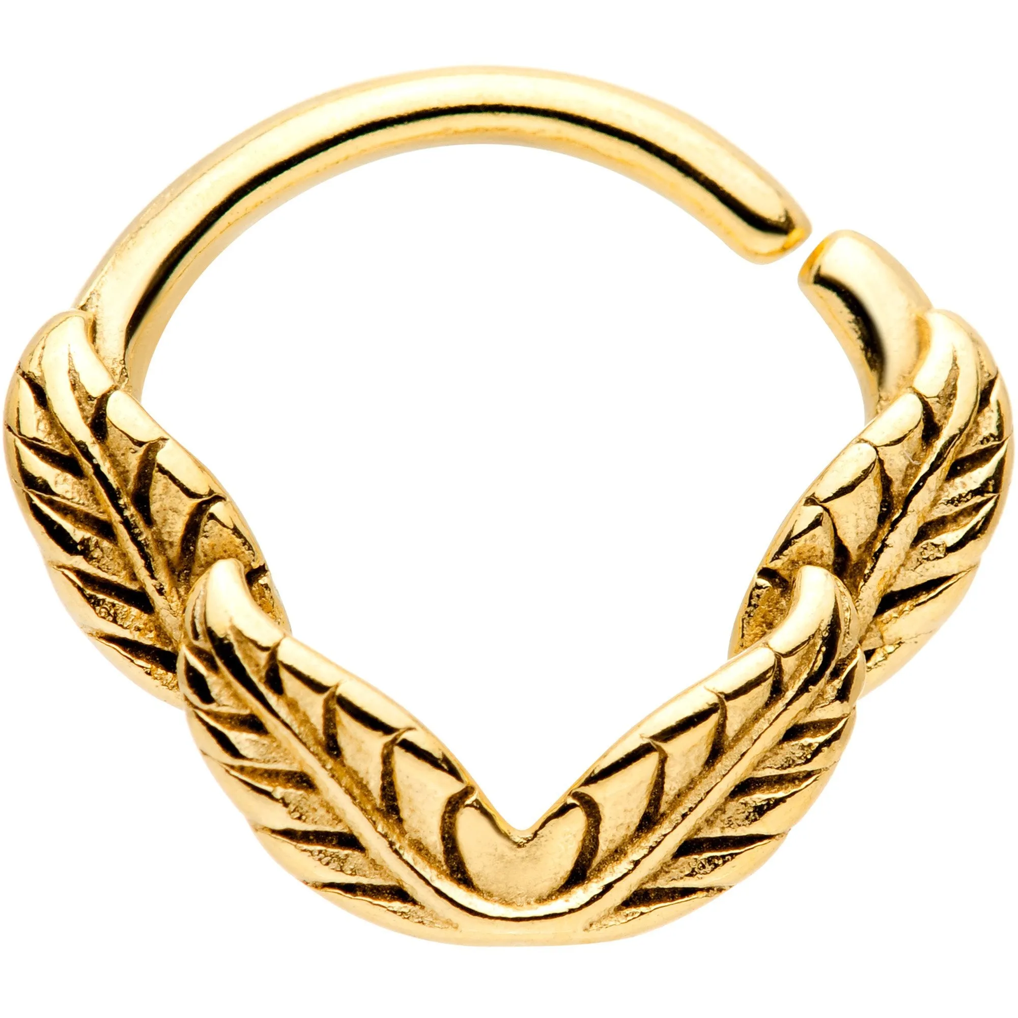 16 Gauge 3/8 Gold Tone Ring of Feathers Closure Ring