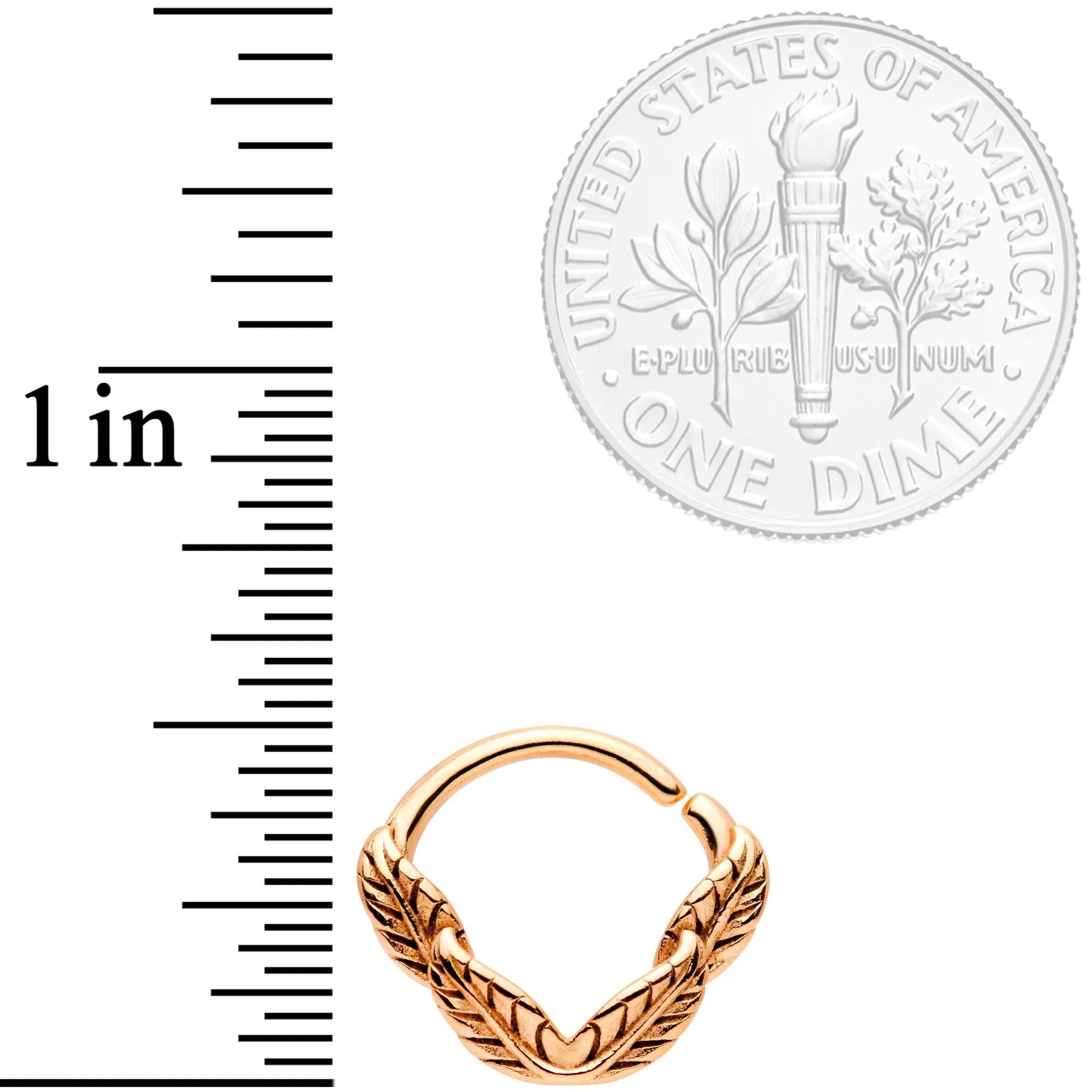 16 Gauge 3/8 Rose Gold Tone Ring of Feathers Closure Ring