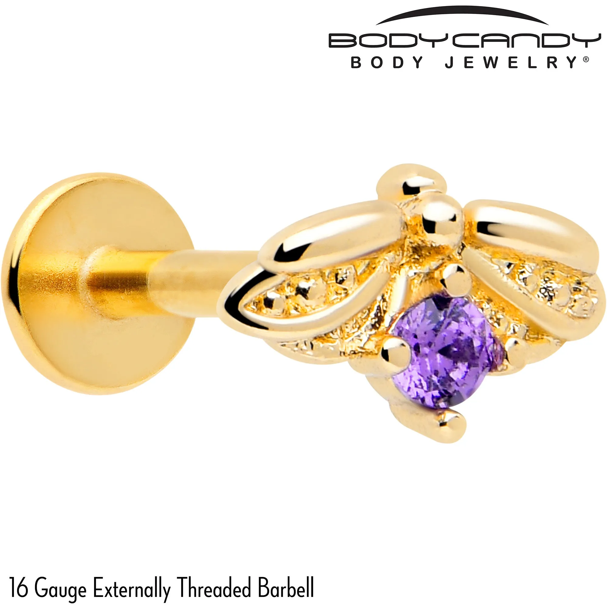 16 Gauge 5/16 Purple Gem Gold Tone Beauty Bug Labret Monroe Tragus