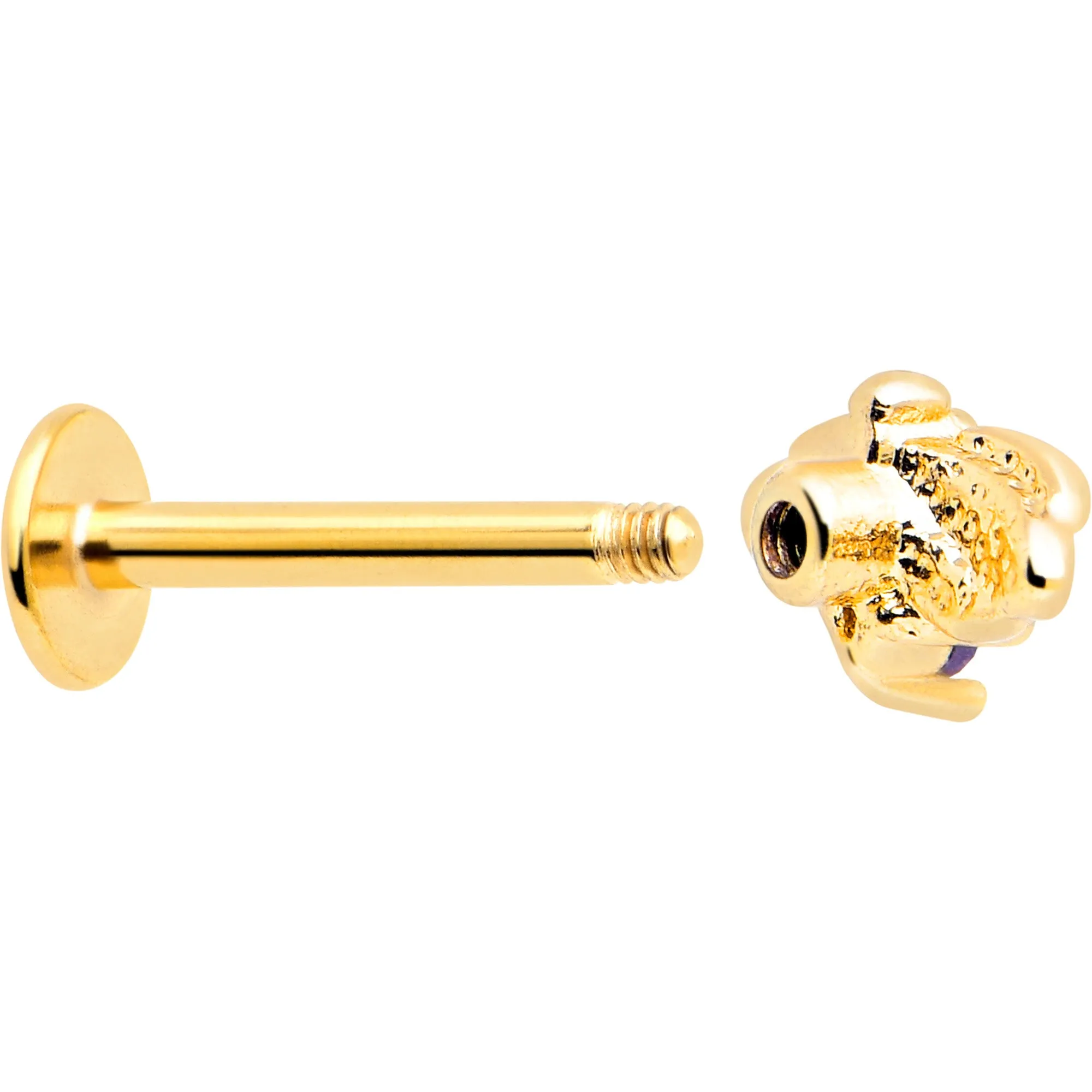 16 Gauge 5/16 Purple Gem Gold Tone Beauty Bug Labret Monroe Tragus