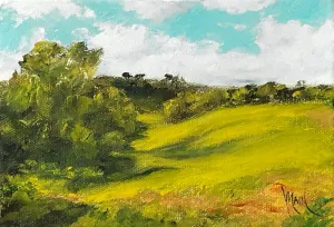 Afternoon Light