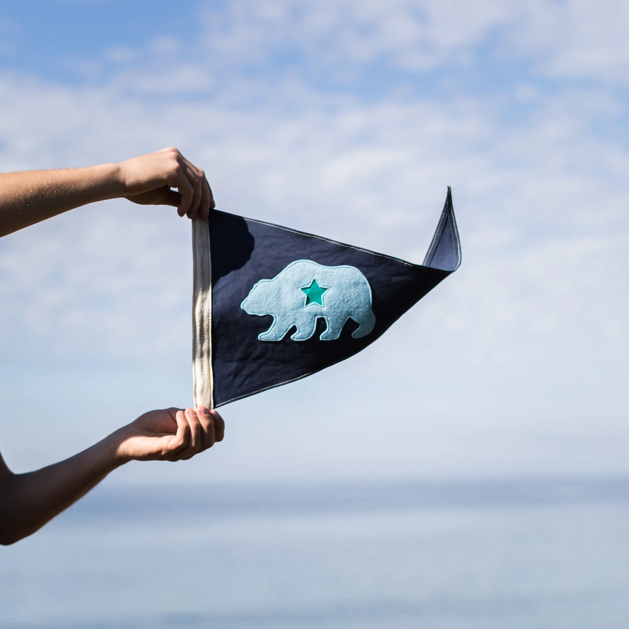 CA Bear Flag - Blue