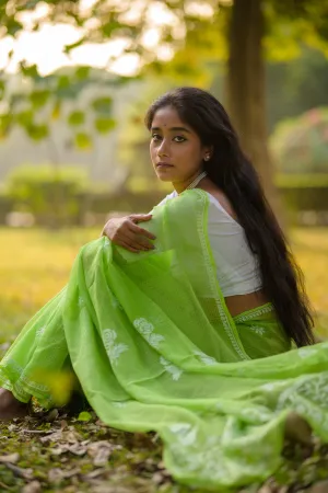 Kota Chikankari sarees - Meher - Panna