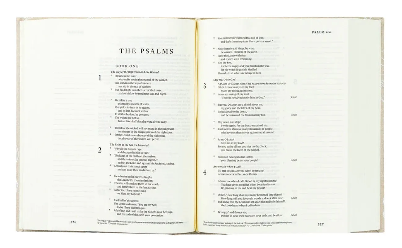 NLT Notetaking Bible : Cordova Theme