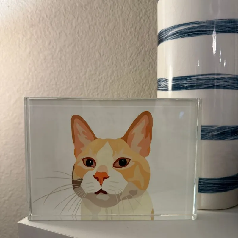 The Perfect Mother’s Day Gift for Pet Moms – Custom Keepsakes