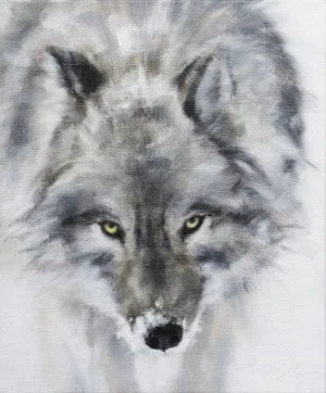 Wolf Study Light